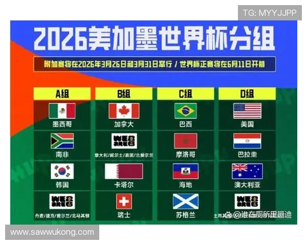2026世界杯出线概率与世界排名关系分析